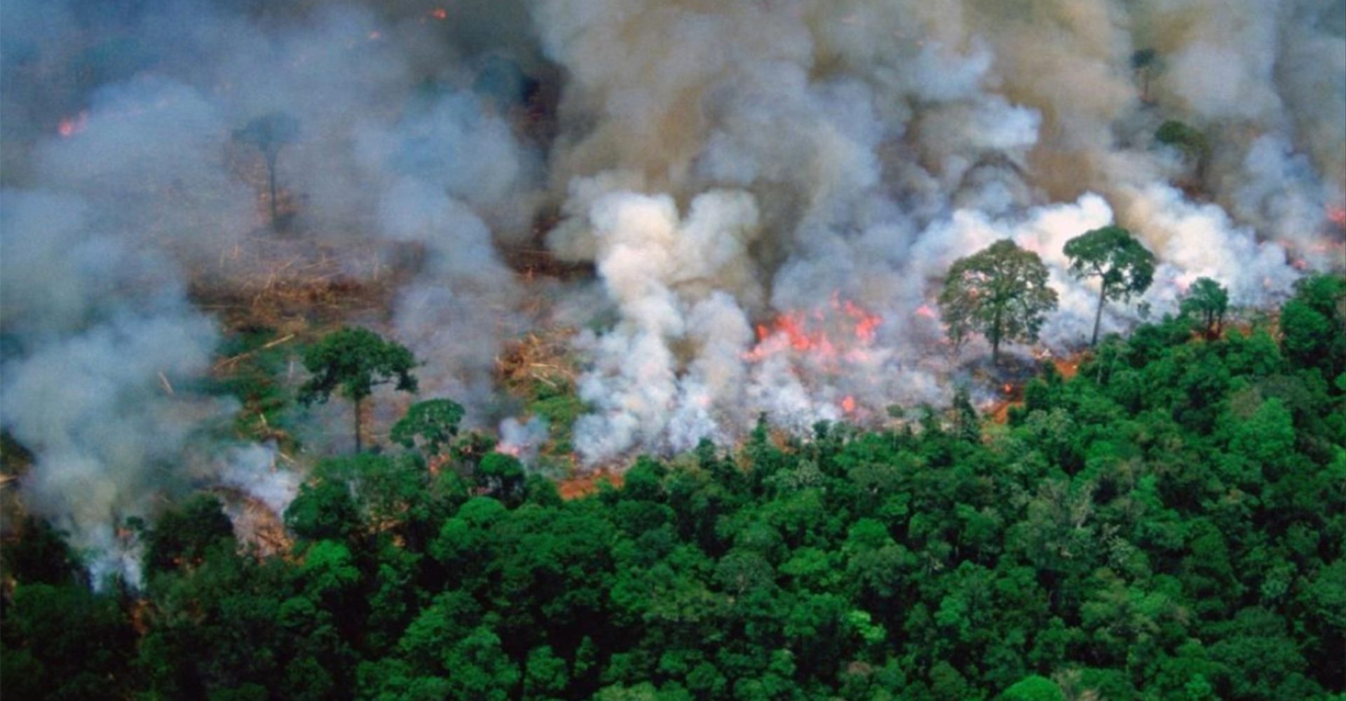 Amazzonia Attacco Mortale Ad Ambiente E Indios Lecocidio Della