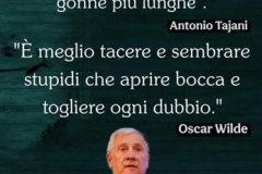 Tajani-e-Vannacci-1