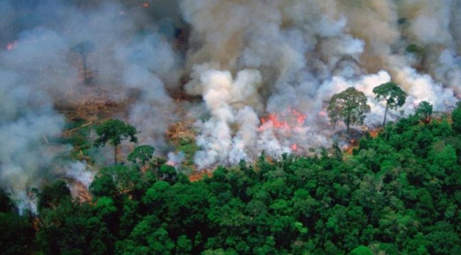 Amazzonia, attacco mortale ad ambiente e indios: l’ecocidio della foresta e il genocidio dei suoi popoli iniziato 500 anni fa